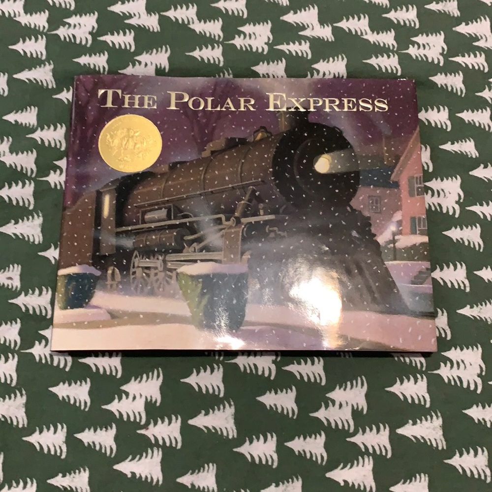 The Polar Express Book like new!